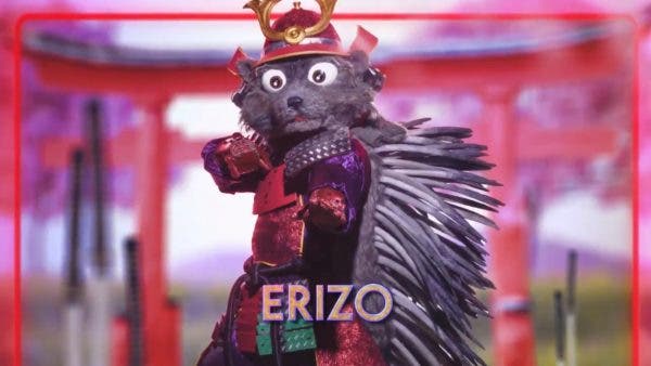 Erizo Mask Singer