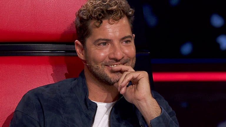 Bisbal Voz