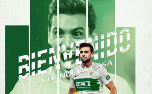 Elche Pastore