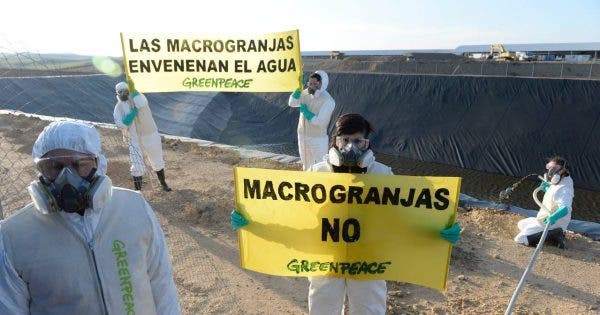 Greenpeace macrogranjas