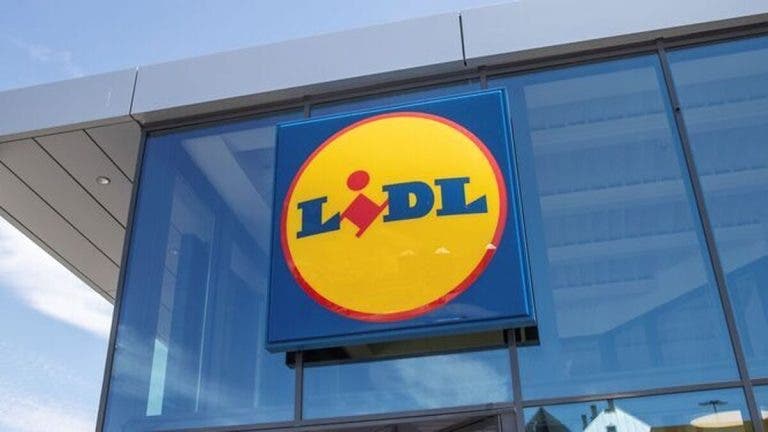 zapatillas Lidl