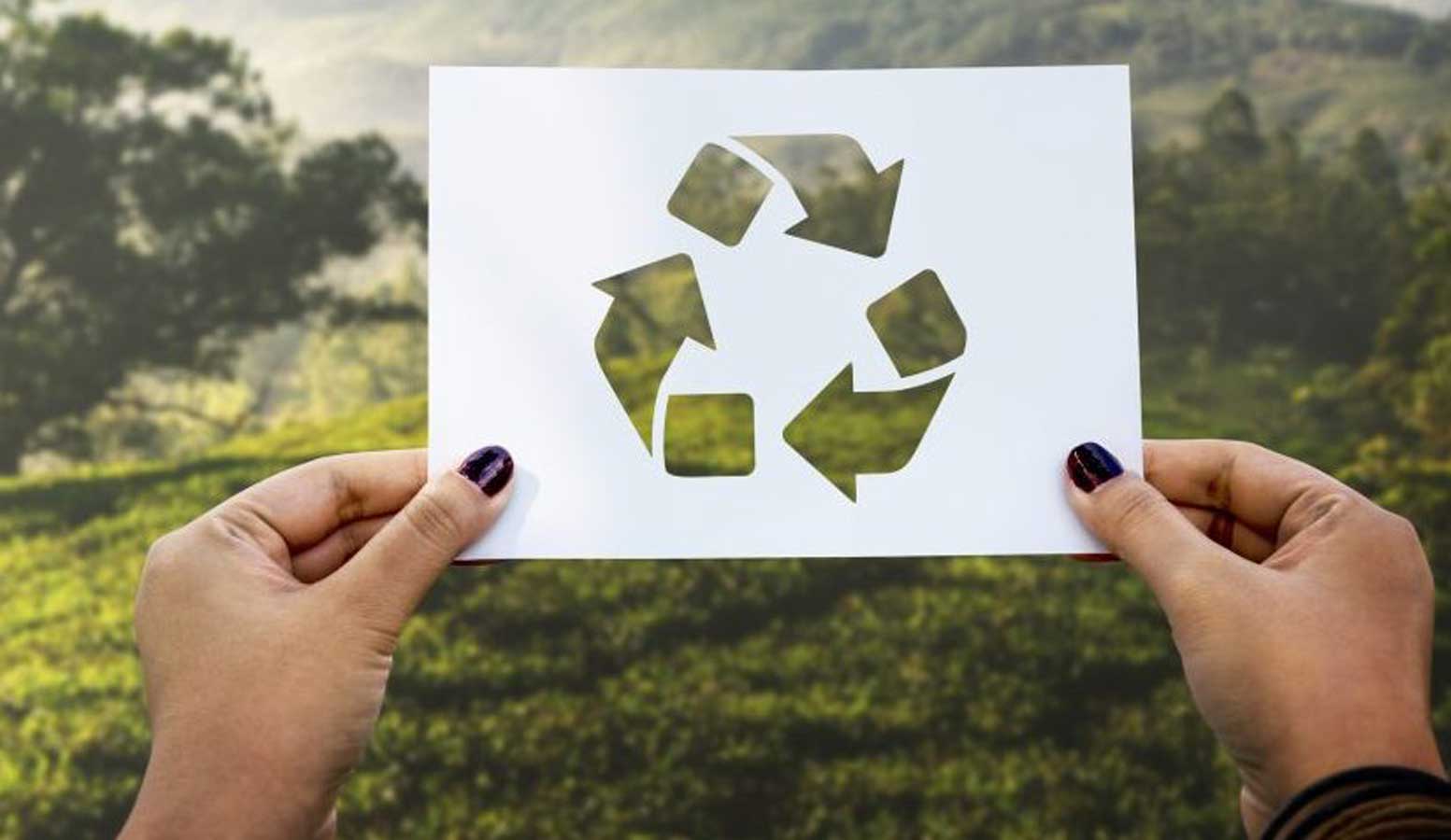 reciclar papel
