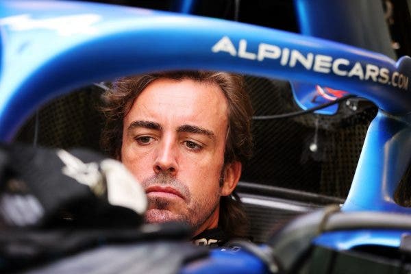 Alonso alpine