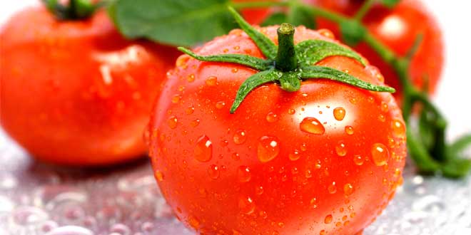 tomates ahorramas