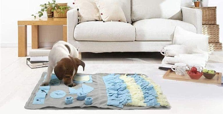 alfombra interactiva perros