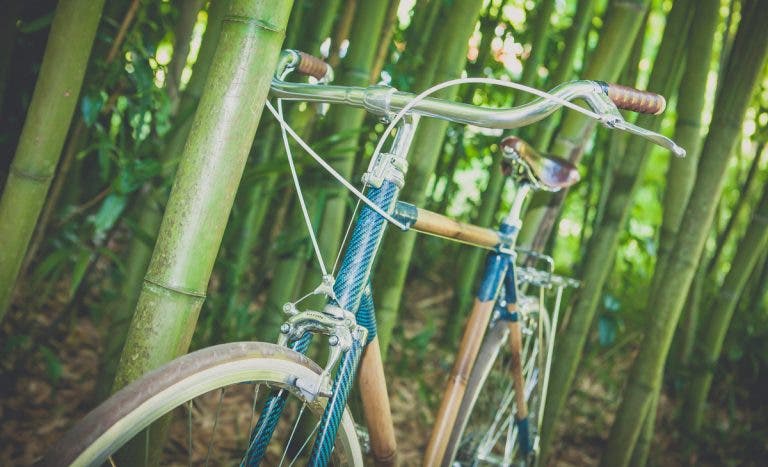bici bambú 2023