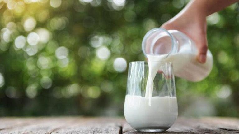 leche entera salud