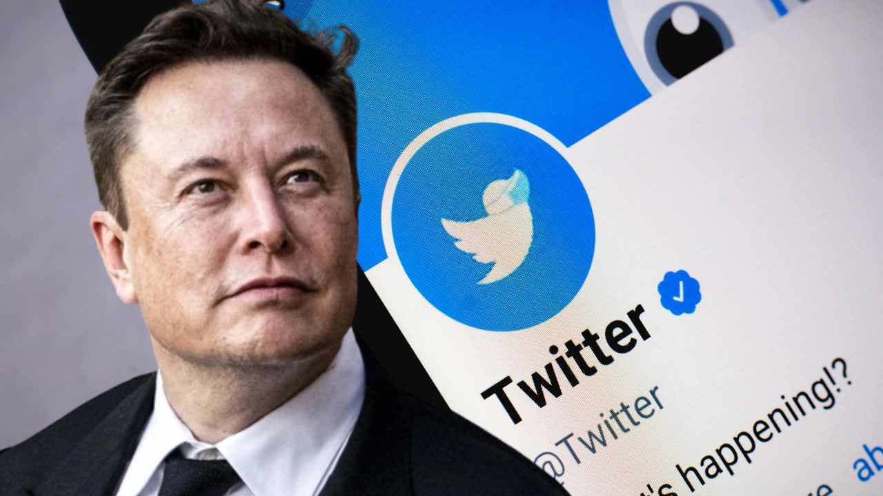 Elon musk twitter