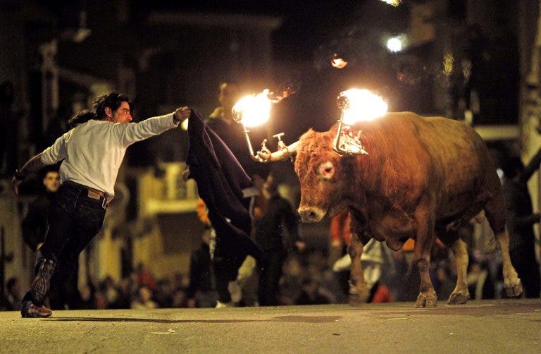 toro embolado alicante