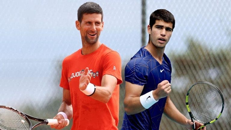 alcaraz djokovic