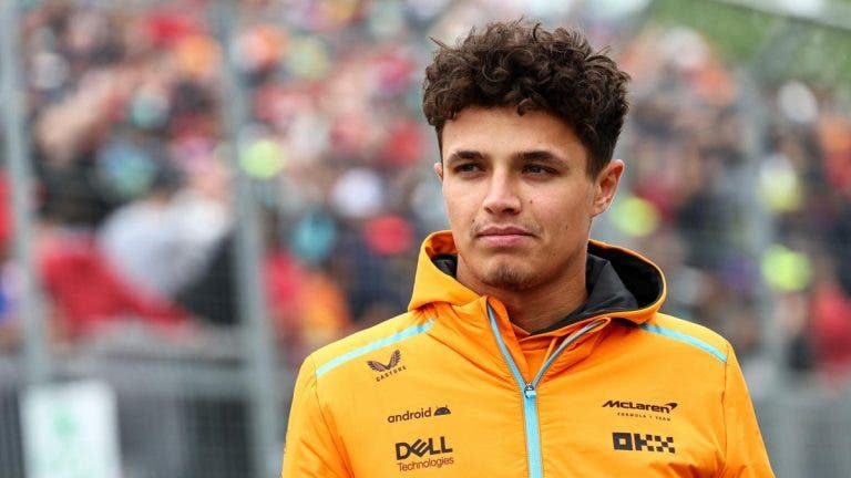 lando norris robo