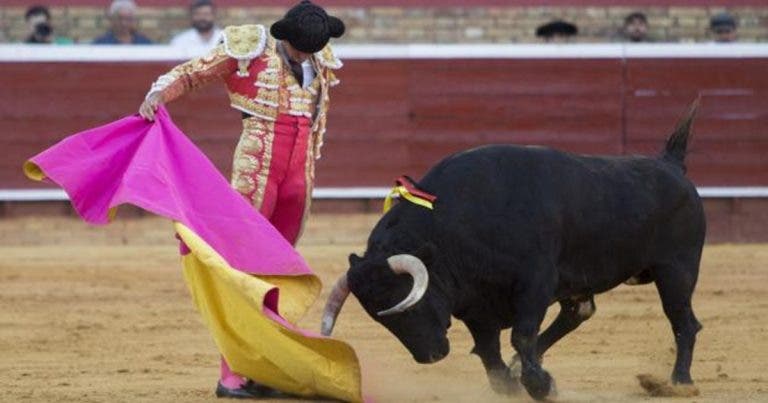 vox toros