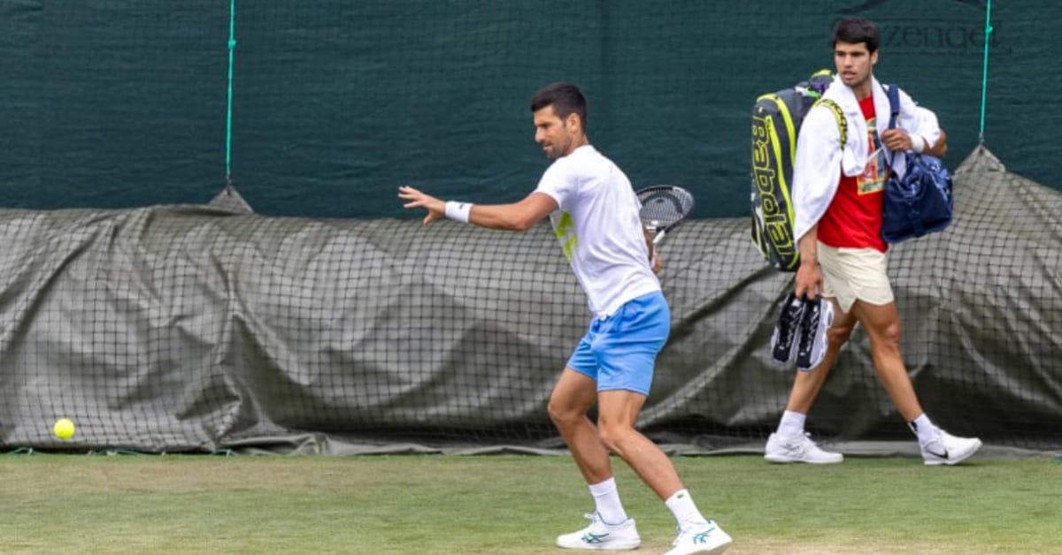 Djokovic Alcaraz Wimbledon 