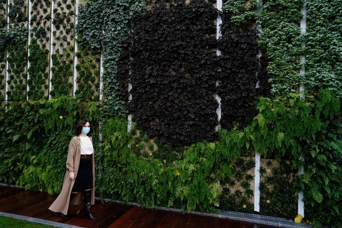 El jardín vertical utilizado por Isabel Díaz Ayuso es ahora un lugar abandonado