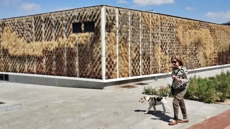 El jardín vertical utilizado por Isabel Díaz Ayuso es ahora un lugar abandonado