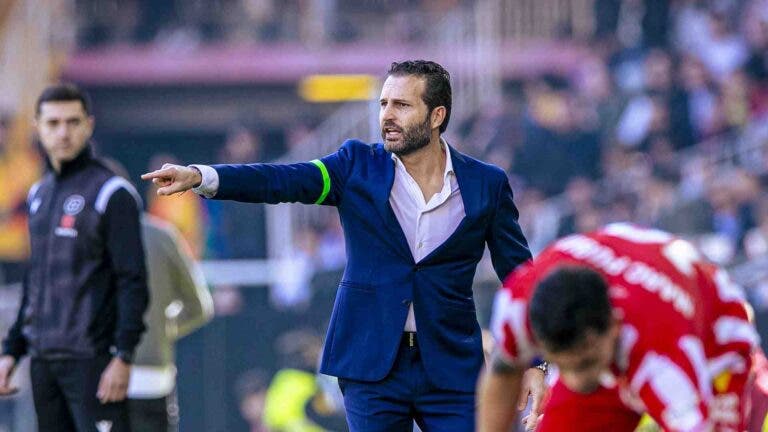 Baraja renovación