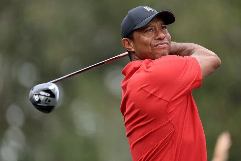 tiger woods