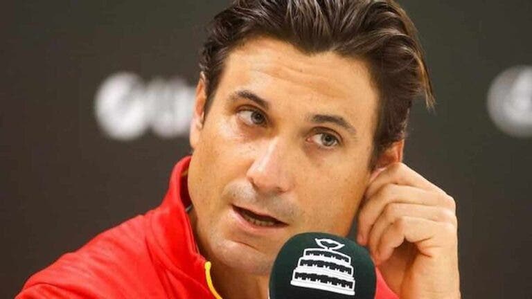 David Ferrer