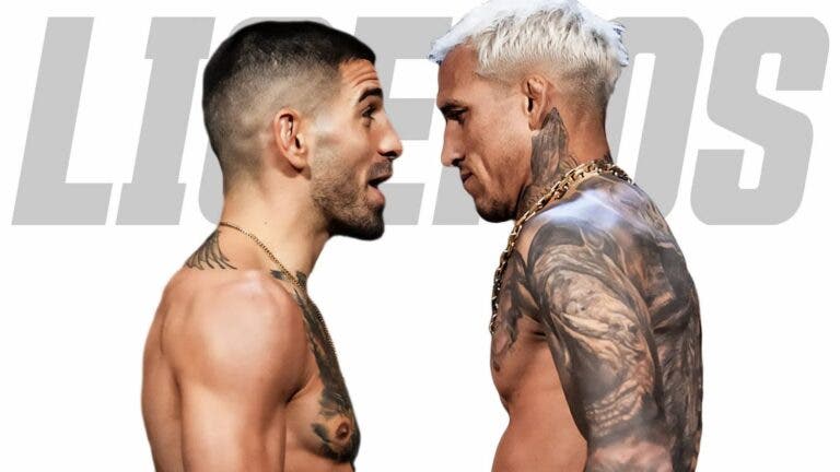 EGD MMA