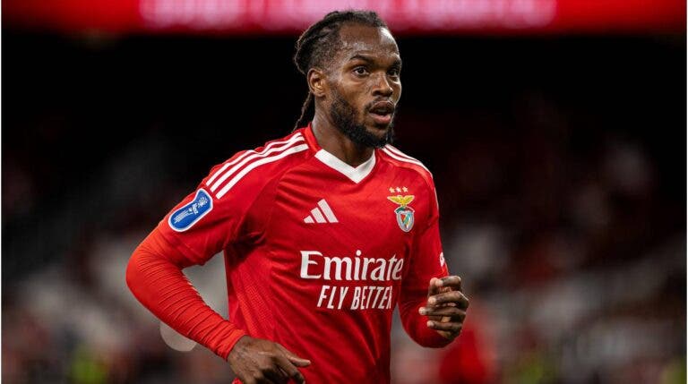 Renato Sanches Valencia