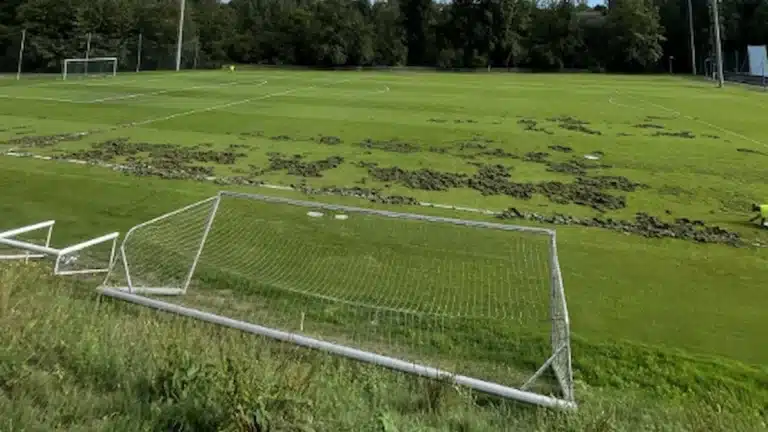 Campo de fútbol de El Requexón con el césped levantado por jabalís y una portería caída en primer plano